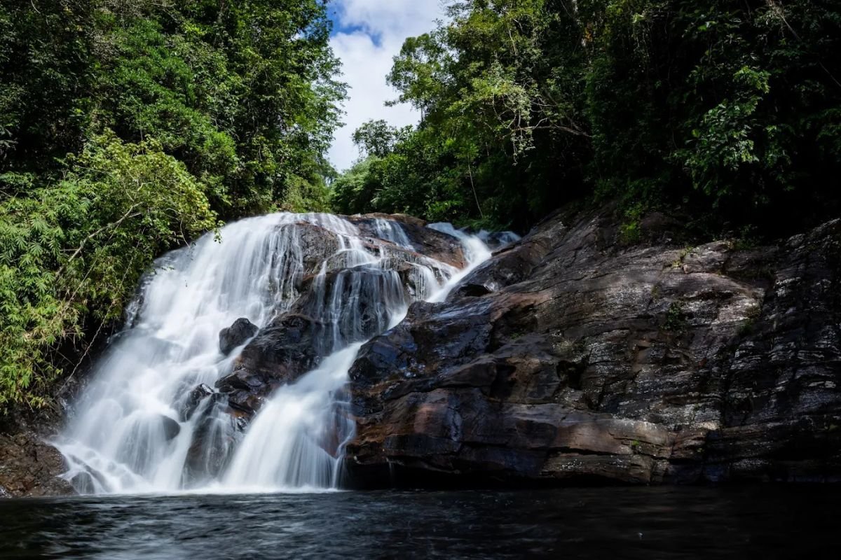 Sinharaja Jungle Waterfalls and River Pools